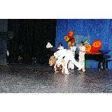 15 CAPOEIRA_004